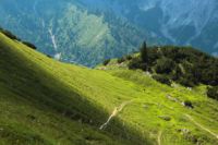 2014-07-18_Kompar (215)b.JPG